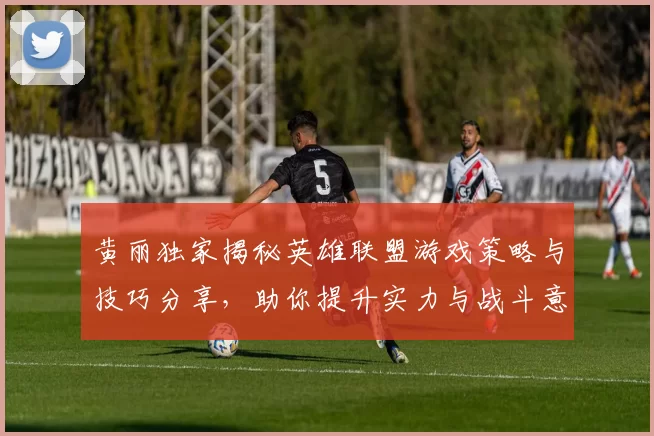 黄丽独家揭秘英雄联盟游戏策略与技巧分享，助你提升实力与战斗意识