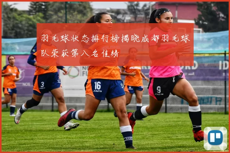 羽毛球状态排行榜揭晓成都羽毛球队荣获第八名佳绩