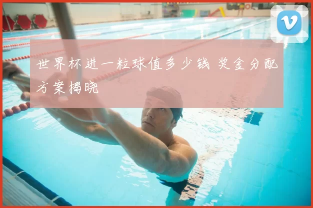 世界杯进一粒球值多少钱 奖金分配方案揭晓