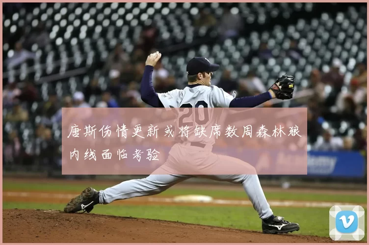 唐斯伤情更新或将缺席数周森林狼内线面临考验
