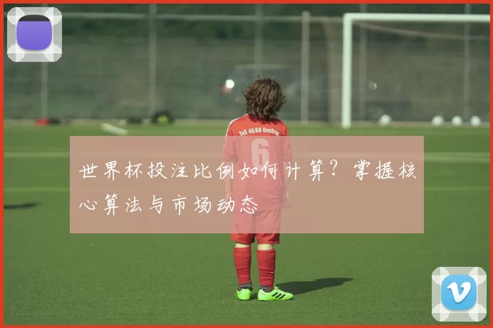 世界杯投注比例如何计算？掌握核心算法与市场动态