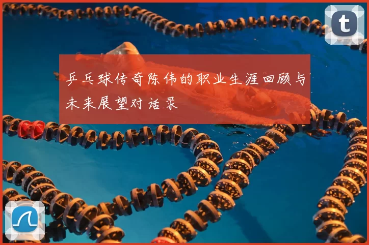 乒乓球传奇陈伟的职业生涯回顾与未来展望对话录