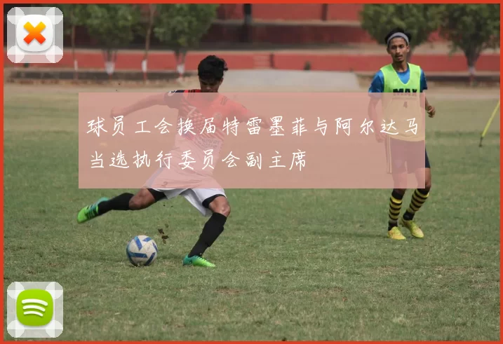 球员工会换届特雷墨菲与阿尔达马当选执行委员会副主席