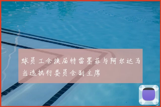球员工会换届特雷墨菲与阿尔达马当选执行委员会副主席