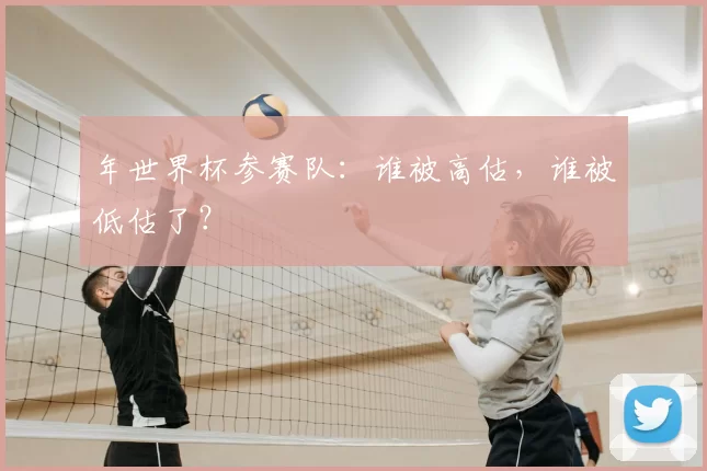 年世界杯参赛队:谁被高估,谁被低估了?