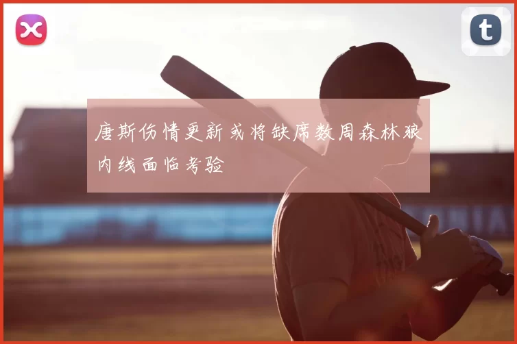 唐斯伤情更新或将缺席数周森林狼内线面临考验