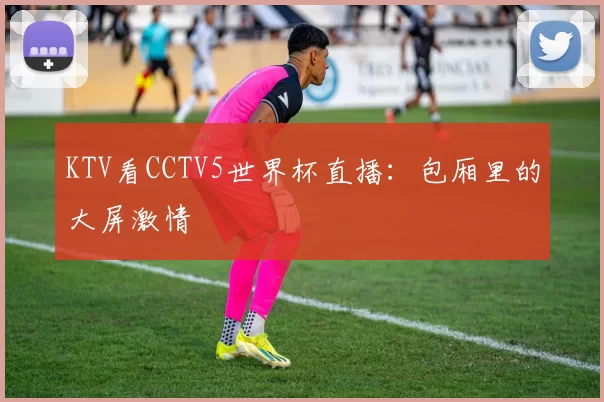 KTV看CCTV5世界杯直播：包厢里的大屏激情